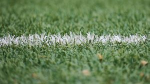 Football Line On Grass
